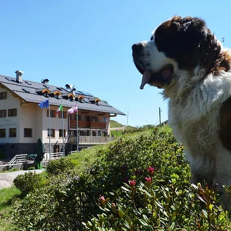 帕苏瓦勒斯庇护棚屋住宿加早餐旅馆 *