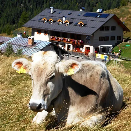 Rifugio Capanna Passo Valles Фалькаде
